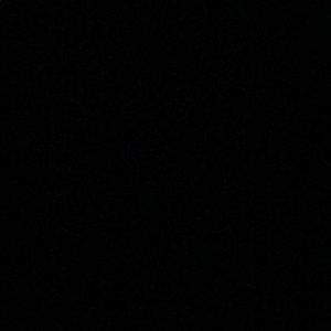 Meet your Posher, Lily